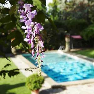 4* Otel Park Palace